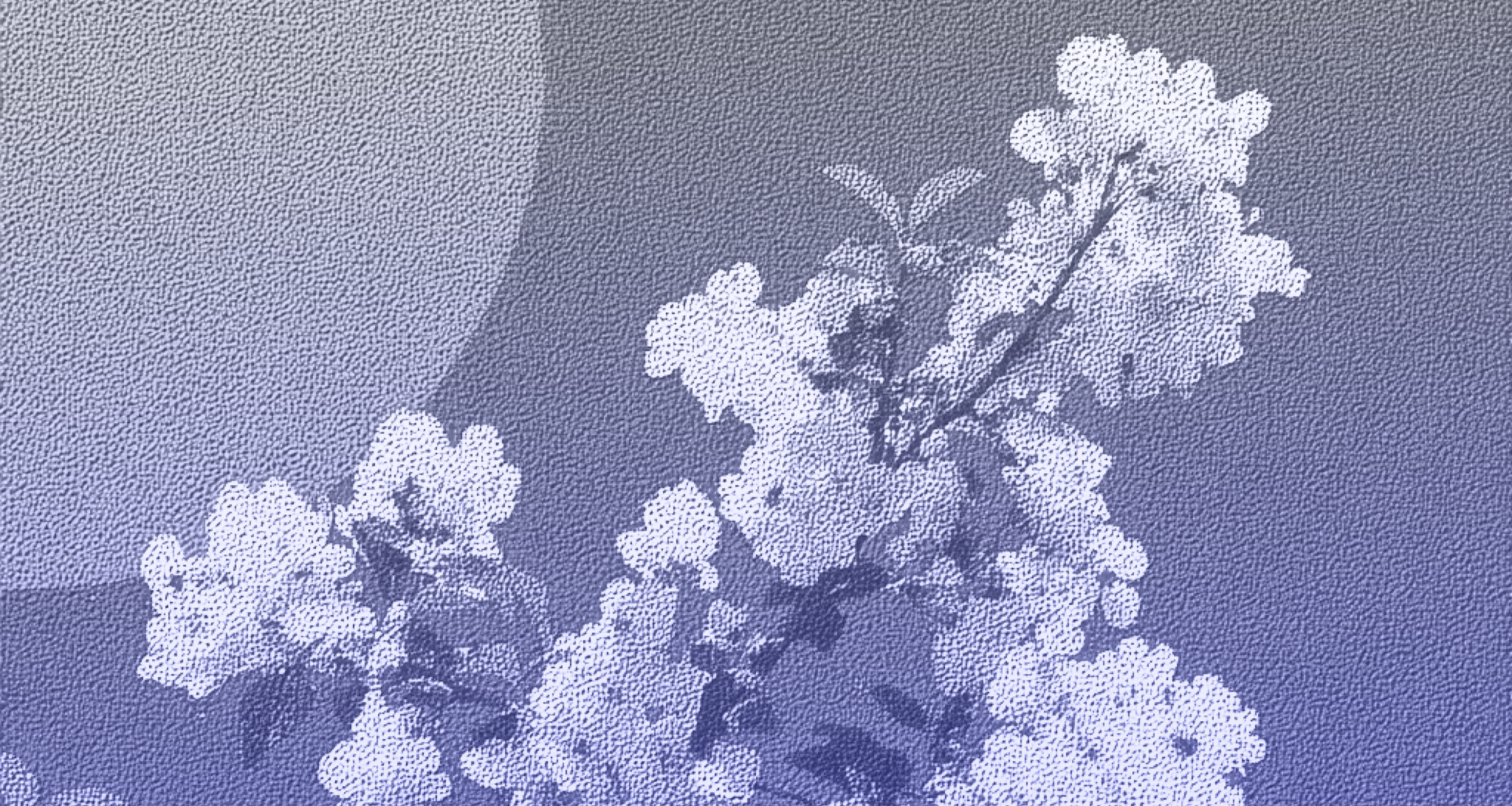 Abstract illustration of blooming flowers and branches in soft purple tones, representing growth, renewal, and natural beauty.